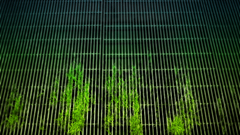 Green nature Plants grid grass metal metal grid