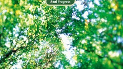 Green nature Trees political