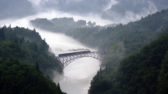 Green nature Trees trains