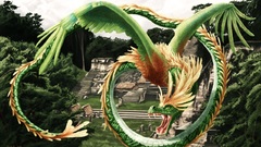 Green nature wings Trees