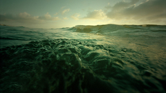 Green ocean monochrome