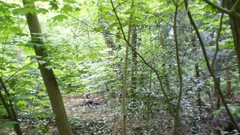 Green planet room with a view side of the road spring tale