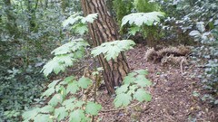 Green planet room with a view side of the road spring tale