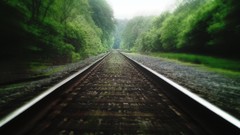 Green railroad tracks