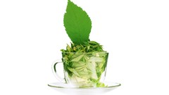 Green tea leaves