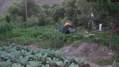 Green tent laundry camping riverside cabbages erzurum