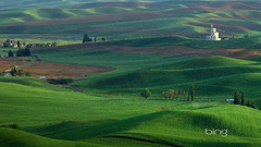 Green Trees grass houses