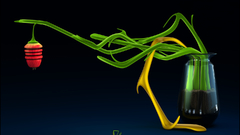 Green view red multicolor