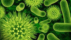 Green virus bacteria artwork digital art microscopic