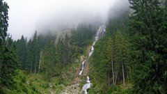 Green water autumn forests