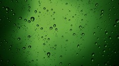 Green water drops