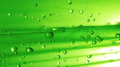Green water drops