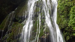 Green water nature iran