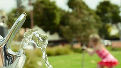 Green water spiders depth