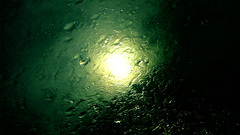 Green water wet condensation