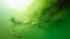 Green wide abstract