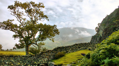 Greenery landscape verdure nature