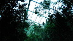 Greenhouse