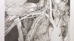 Gregory mager anatomical landscape