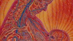 Grey high Alex Resolution nursing