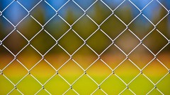 Grid artwork Chain Link Fence