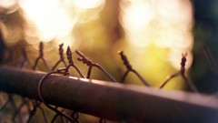 Grid Objects bokeh Chain Link Fence