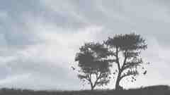 Grief by lemondesign