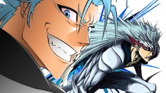 Grimmjow jaegerjaquez pantera Anime