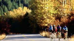 Groups canyon Montana