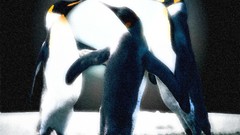 Groups energy moon Penguins gerarc