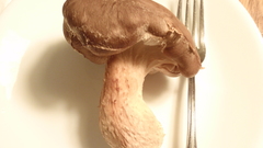 Grow My own muchrooms