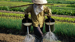 Growth amahdoonitrite high