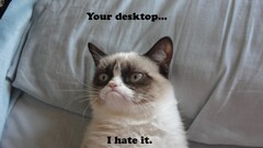 grumpy cat humor Animals Mammals cats