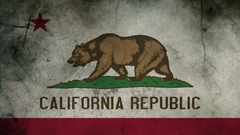 Grunge Flags California