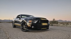 GT anniversary Ford Shelby