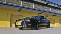 GT anniversary Ford Shelby Ford Mustang Shelby GT350