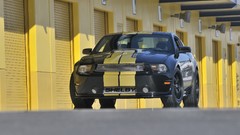 GT anniversary Ford Shelby Ford Mustang Shelby GT350