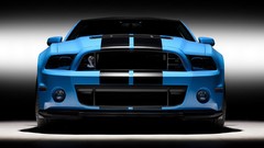 GT Shelby Ford mustang Ford Mustang Shelby Shelby GT500 2013
