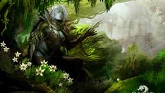 Guild wars 2