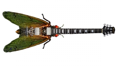 Guitar cicada artwork insects
