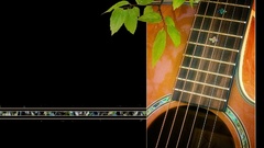 Guitar musical Music and