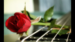 Guitar rose Music and