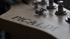 Guitars bass guitars