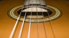 Guitars macro