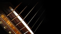 Guitars macro