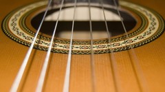 Guitars macro