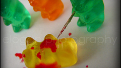 Gummy Bears by elogan