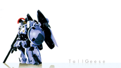 Gundam wing tall gieese