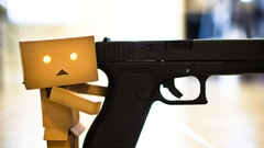 Guns danboard amazon