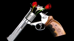 Guns Flowers